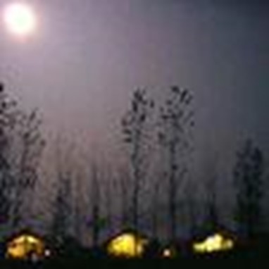 Corbett Village Camp Resort Ramnagar