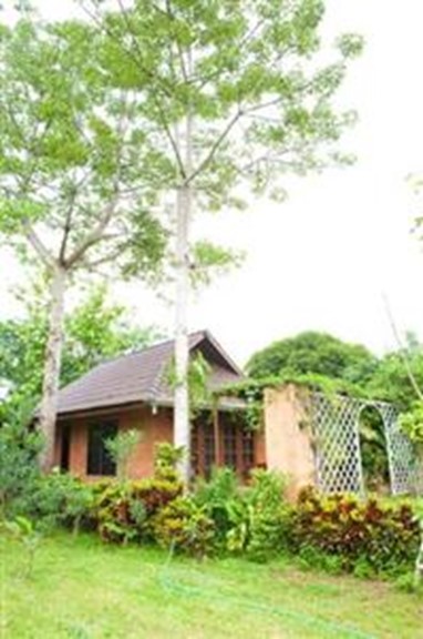 Mohnfahsai Home Resort Chiang Rai