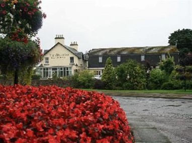 The Albert Inn