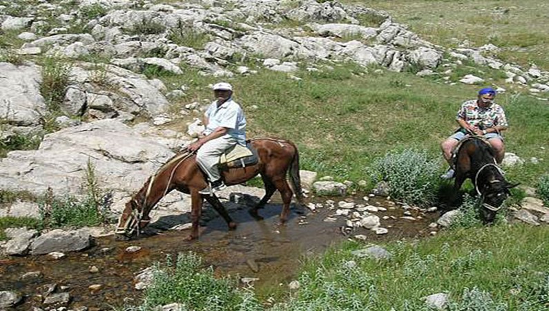 Кони пьют воду. Тяжелы для них туристы