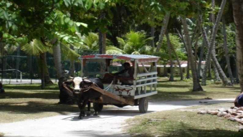 Транспорт на острове Ла Диг