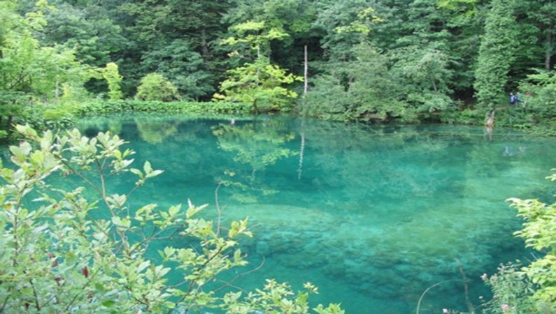 Вода в Плитвицких  озерах  лазурная и прозрачная.