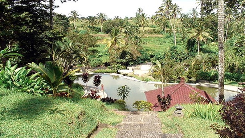 Пейзаж горной части Бали