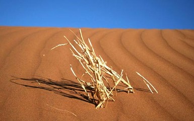 Фотоальбом - Соль и песок пустыни Намиб - часть 1