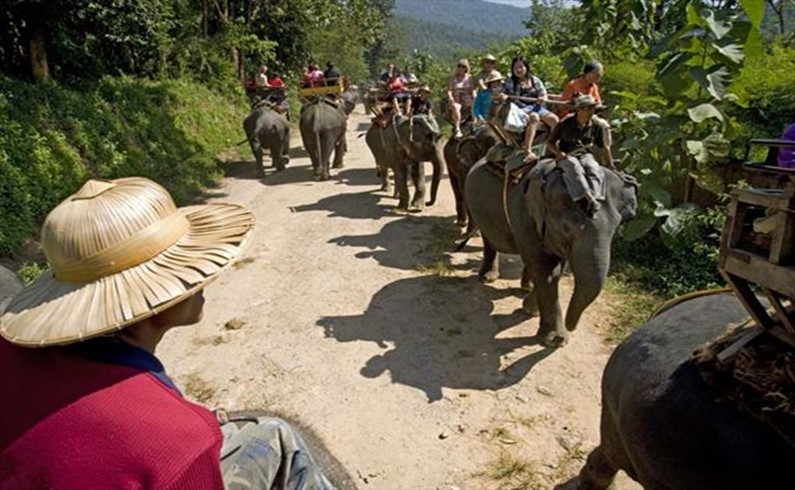 Chiang Mai. Maetaman Elefant Camp. Trip