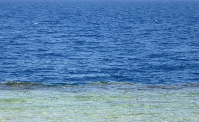 Красное море: глубоководье и мелководье