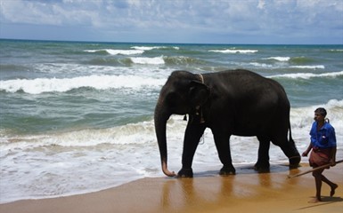 Моя Ланка