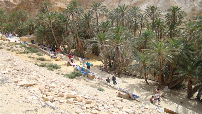 Пешеходная прогулка в каменистой Сахаре