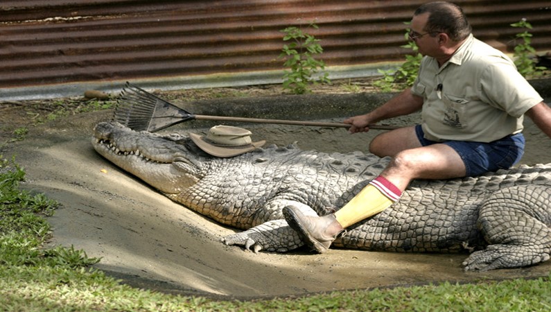 Посещение крокодиловой фермы, Австралия