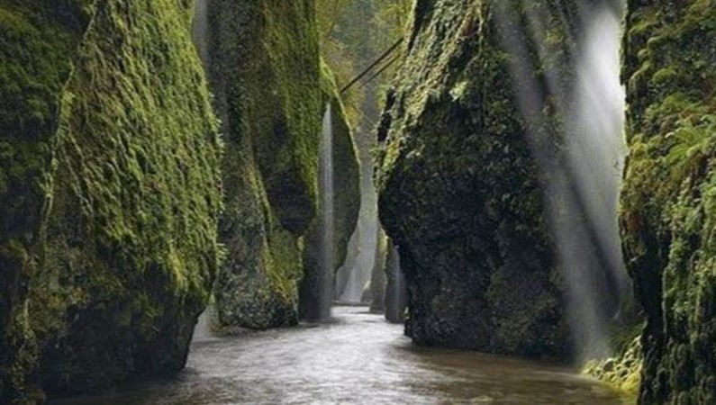 Ущелье на реке Колумбия.  Орегон, США