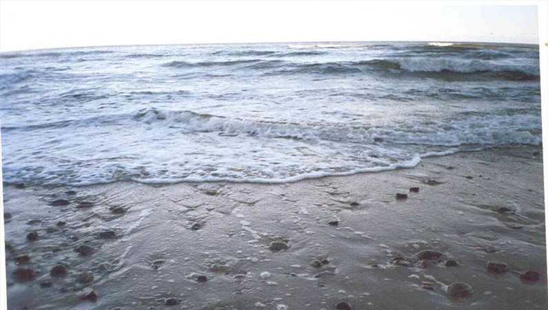 Янтарное море.