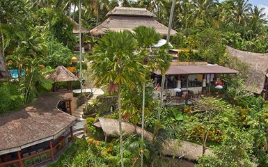 Потрясающий отель в джунглях