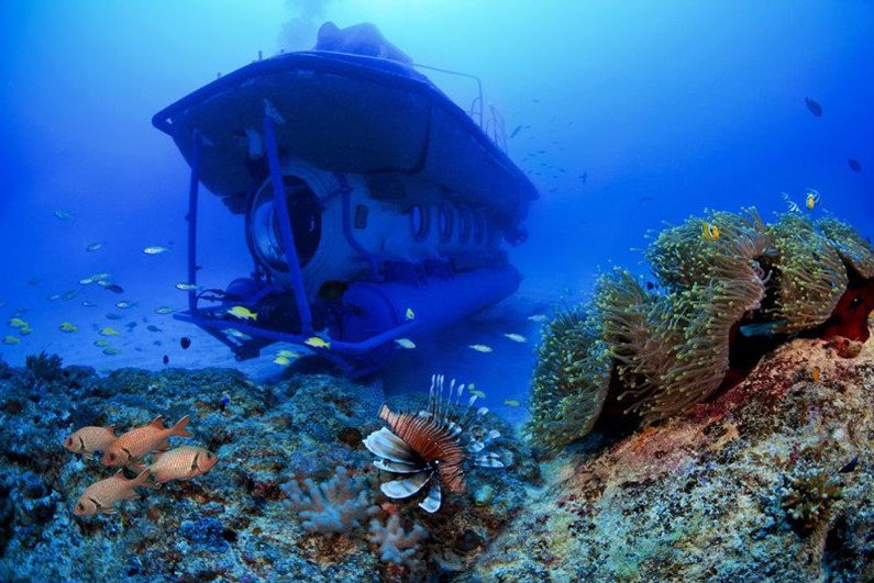 Маврикий. Сафари на субмарине