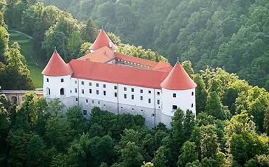 Словения. Замок - отель Мокрице