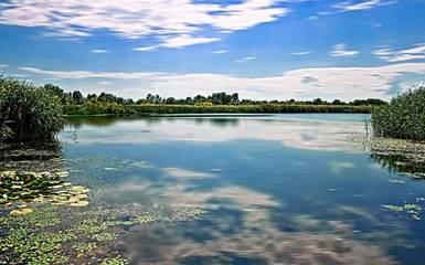 Венгрия. Озеро Тиса