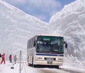 Более 100 японцев погибло из-за снегопада