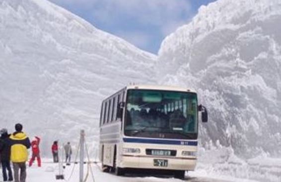 Более 100 японцев погибло из-за снегопада