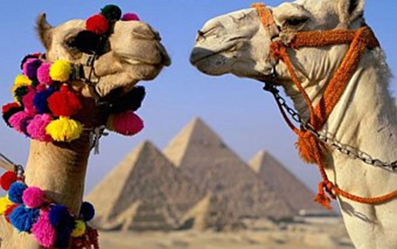 Когда откроют Египет для туристов?