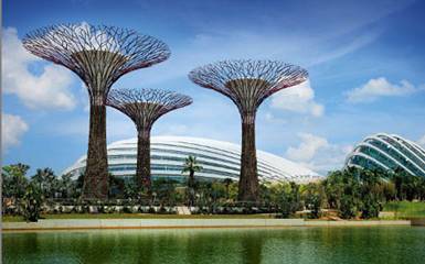 Ботанический сад в Сингапуре
