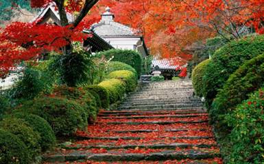 Осень в Японии: фестивали, праздники и спортивные события