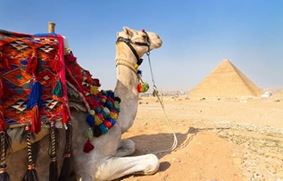 Египет не откроют раньше середины 2018-го года
