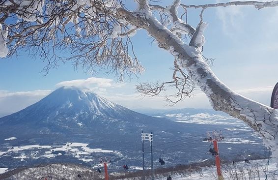 Горнолыжников в Японии привлекает особый, «пудровый» снег Хоккайдо