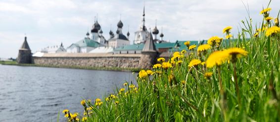 ТОП-5 лучших фото-мест в круизах на Соловки