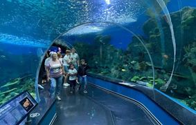 Составлен ТОП-3 гигантских аквариумов России