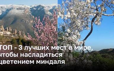 ТОП - 3 лучших мест в мире, чтобы насладиться цветением миндаля