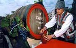 В честь праздника вина визы в Молдову сделают бесплатными 