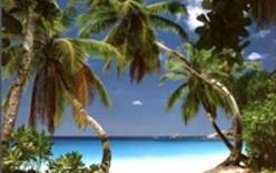 Туристический рай на Сейшелах взяли под охрану