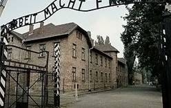 Туристов-нацистов арестовали в Освенциме
