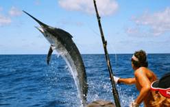 На Кубе проходит турнир по ловле меч-рыбы