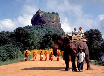 МИД предупредил туристов об опасной лихорадке на Шри-Ланке