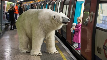 Белый медведь перепугал жителей Лондона