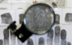Введение биометрических виз могут отложить