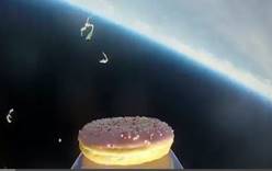 Ученые в Норвегии запустили в космос пончик