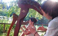 В Боровце организовали летнюю музыкальную академию