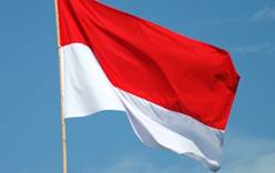 В Индонезии россиянина задержали за кражу флага