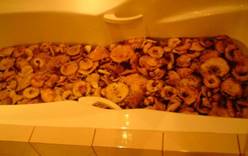 Семейная пара из России засолила грибы в ванне номера пятизвёздочного отеля в Швейцарии