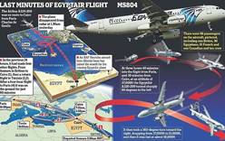 Гаджеты могли стать причиной крушения лайнера EgyptAir