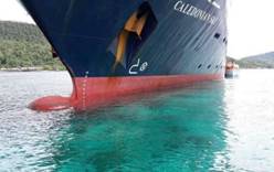 Круизный лайнер серьезно повредил коралловый риф в Индонезии