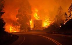 В Португалии бушуют пожары — туристам стоит быть осторожнее