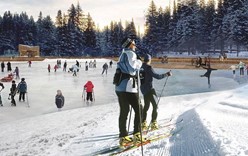 Всепогодные лыжные трассы появятся в семи парках Москвы