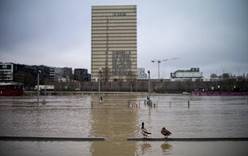 Наводнение в Париже привело к закрытию крупных музеев и круизов по Сене