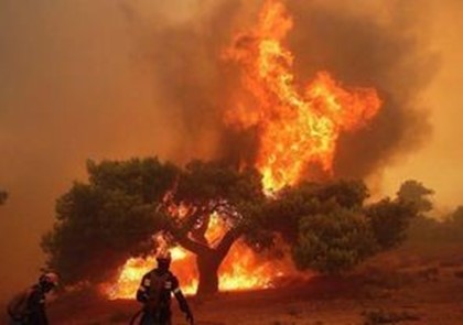 93 человека погибли из-за пожаров в Греции
