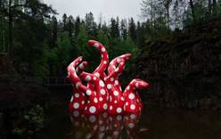 В Норвегии появились «щупальца» знаменитой японской художницы