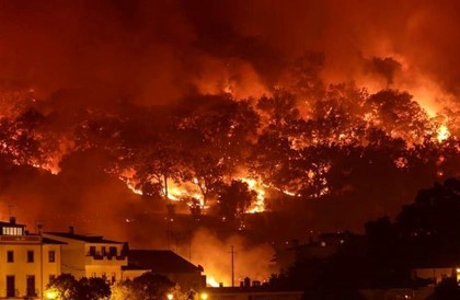 В Португалии начались пожары