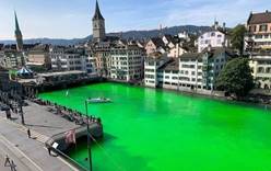 Река в Цюрихе окрасилась в ядовито-зеленый цвет