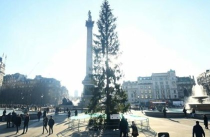 Главную елку Лондона высмеяли в соцсетях